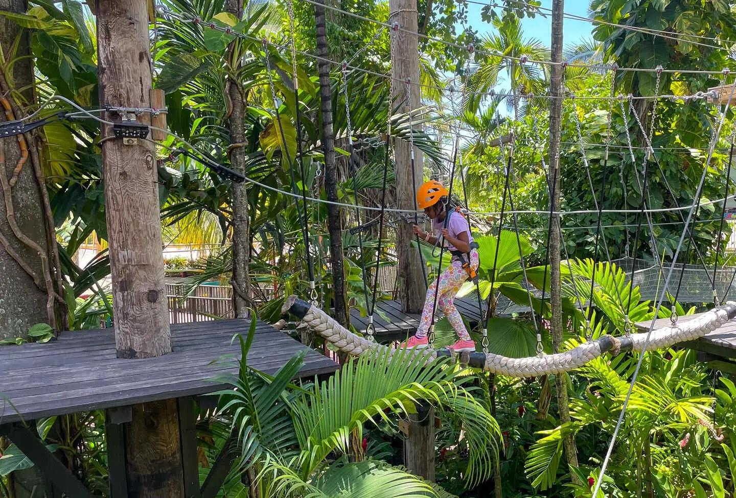 Zipline excursion in Jamaica